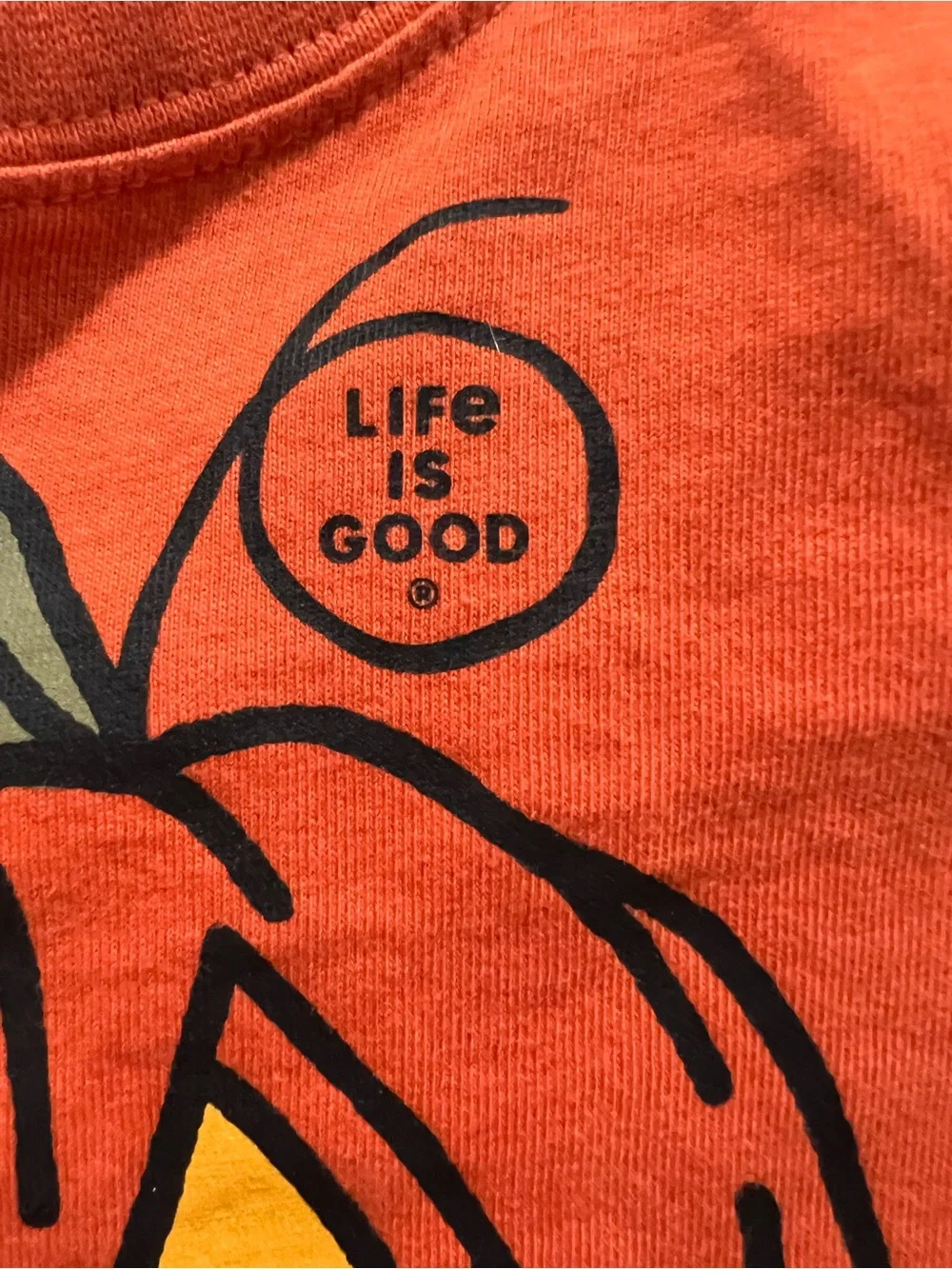 Life Is Good Orange Halloween Pumpkin Graphic Tee